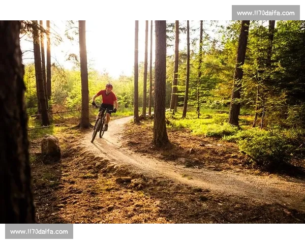 《探索自行车赛事的魅力与挑战：从赛道到车手的故事》