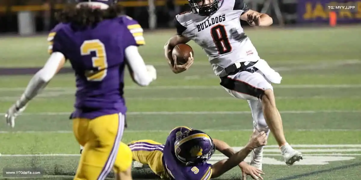 为什么选择我们